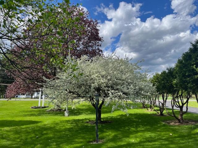 Gasthof Nightshade Inn&gardens Camillus